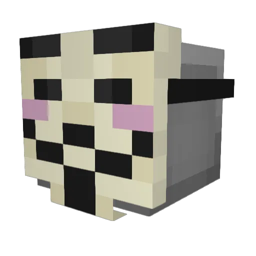 GrahamBrot Minecraft avatar head, 3D render