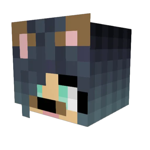 GrahamCracker04 Minecraft avatar head, 3D render
