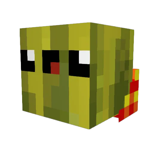 Grain_De_Melon Minecraft avatar head, 3D render