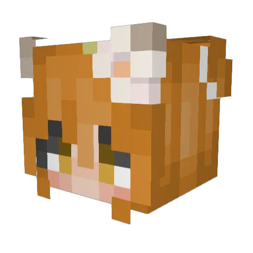 Graipy Minecraft avatar head, 3D render