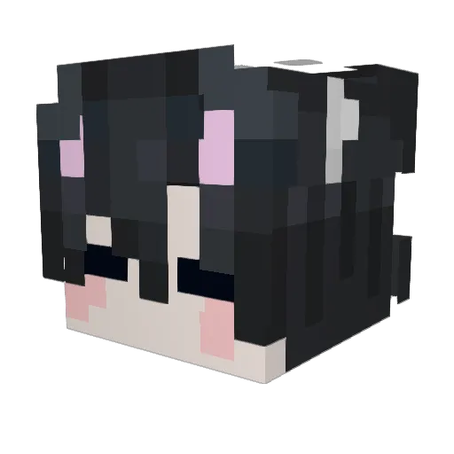 Grajea94 Minecraft avatar head, 3D render