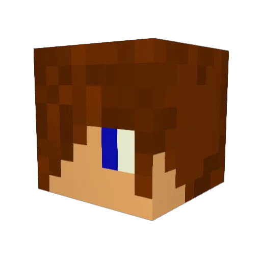 Grammatikfehler Minecraft avatar head, 3D render