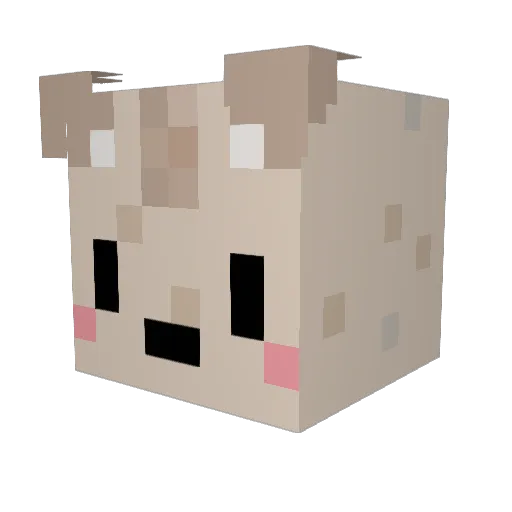 Grampa_Autumn Minecraft avatar head, 3D render