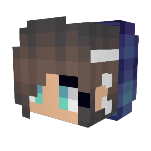 GrandPigeon Minecraft avatar head, 3D render