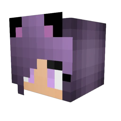 GrandmaPJ Minecraft avatar head, 3D render