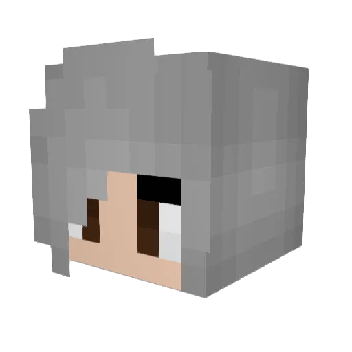 GrandmaTravis Minecraft avatar head, 3D render