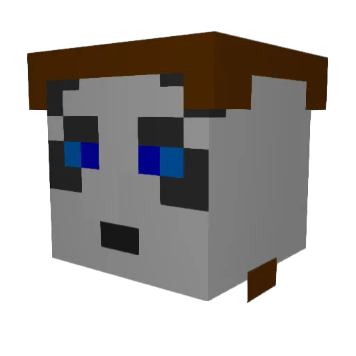 GrandmasterBooda Minecraft avatar head, 3D render