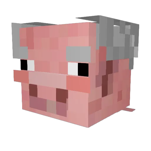 GrandpaPig74 Minecraft avatar head, 3D render