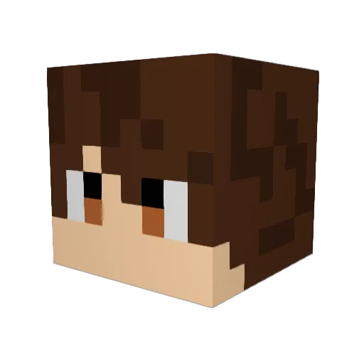 Grane1234 Minecraft avatar head, 3D render