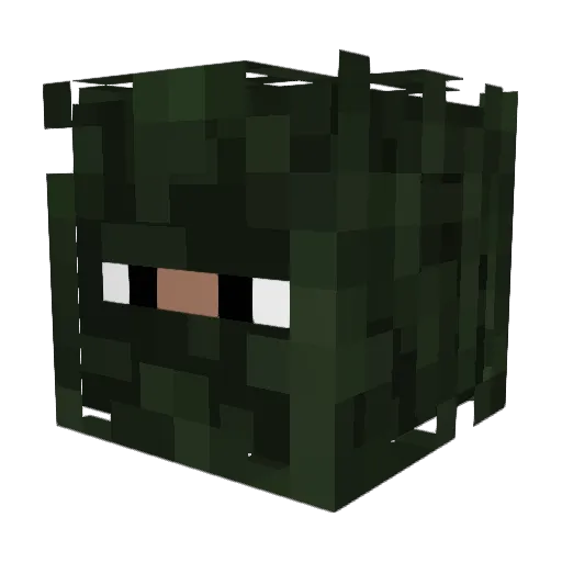 Grankovich Minecraft avatar head, 3D render