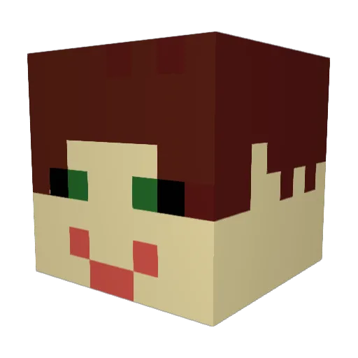 Granola16 Minecraft avatar head, 3D render