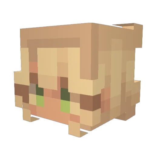Granolabarchick Minecraft avatar head, 3D render