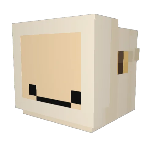 Grant_Silliman Minecraft avatar head, 3D render