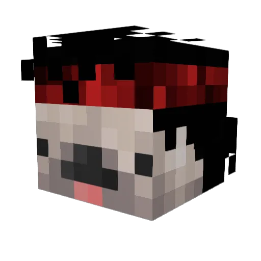 Graou76 Minecraft avatar head, 3D render