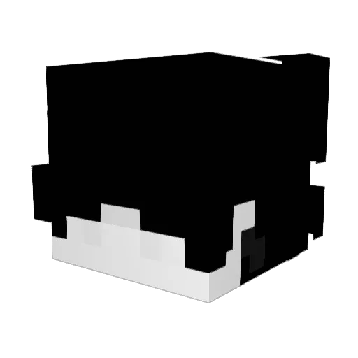 Graouu Minecraft avatar head, 3D render