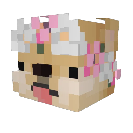 GrapSs76 Minecraft avatar head, 3D render