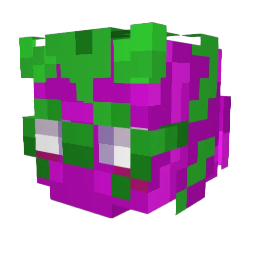 Grapesei Minecraft avatar head, 3D render