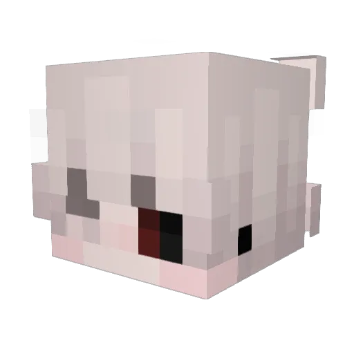 Graphicate Minecraft avatar head, 3D render