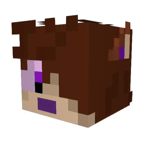 Graphisk Minecraft avatar head, 3D render