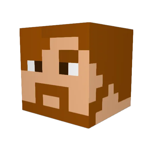 Grapsor2882 Minecraft avatar head, 3D render