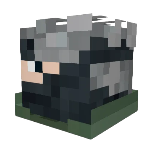 GrasGraaier Minecraft avatar head, 3D render
