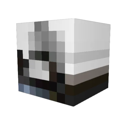 Graser40 Minecraft avatar head, 3D render