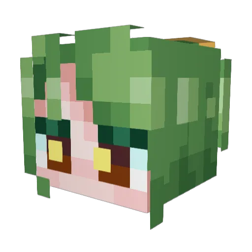 Minecraft-Avatar von GrassCarp: Kopf als 3D-Render