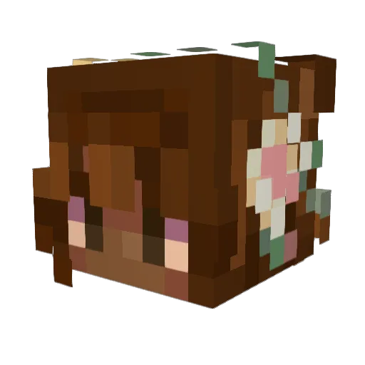 Grasstea1407 Minecraft avatar head, 3D render