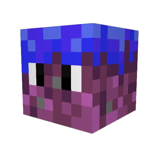 Grassy_is_Fields Minecraft avatar head, 3D render