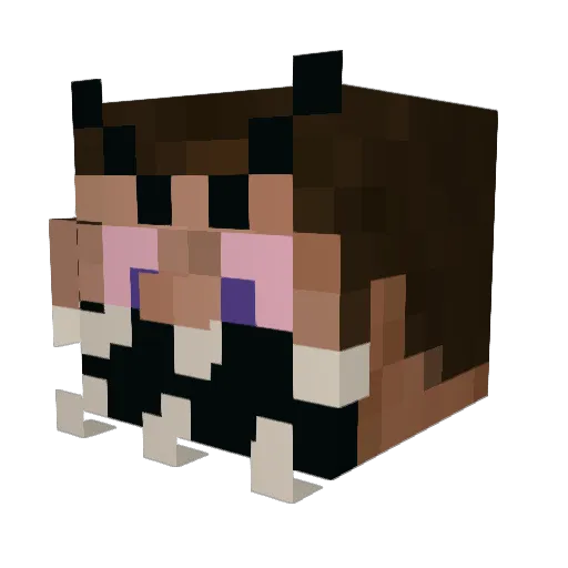 Graurik Minecraft avatar head, 3D render
