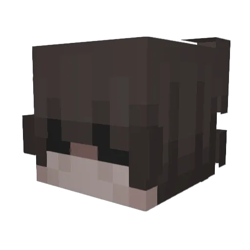 Grauy Minecraft avatar head, 3D render