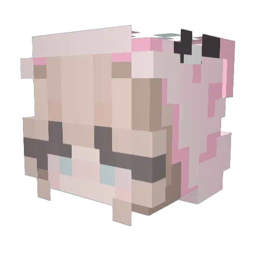 GraveMeek Minecraft avatar head, 3D render
