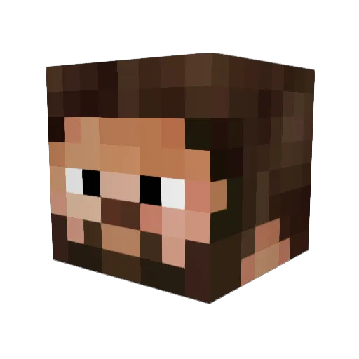 GraveWalker556 Minecraft avatar head, 3D render