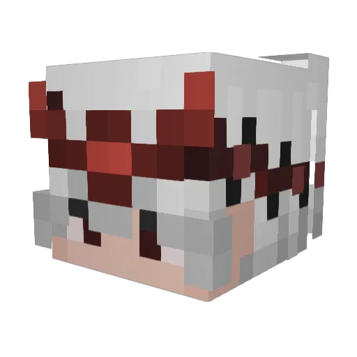 Grave_Ace Minecraft avatar head, 3D render