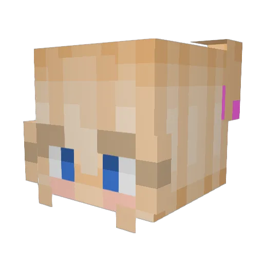 Gravel____ Minecraft avatar head, 3D render