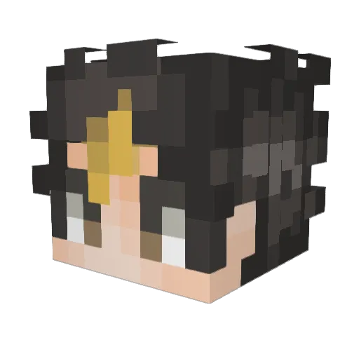 Gravi_foxer Minecraft avatar head, 3D render