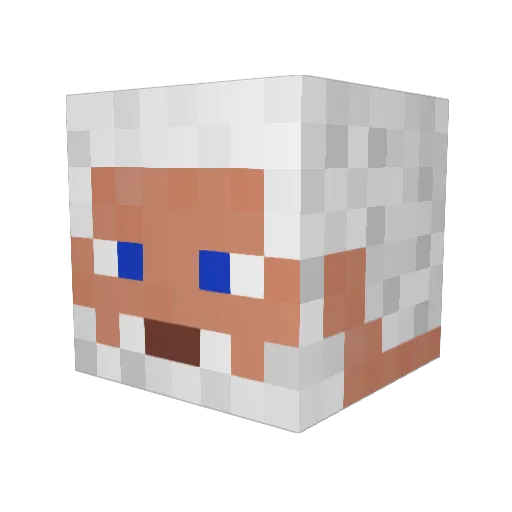 GravierElaok Minecraft avatar head, 3D render