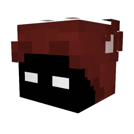 Gravitrax25 Minecraft avatar head, 3D render
