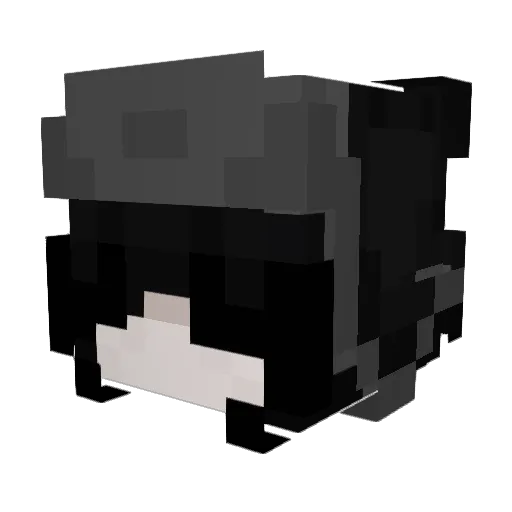 Gravity8P Minecraft avatar head, 3D render