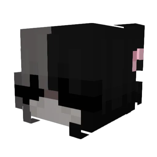 GravityDenied Minecraft avatar head, 3D render