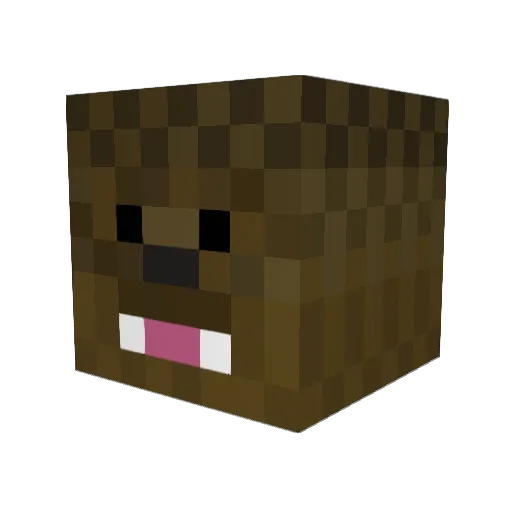 GravityWarrior Minecraft avatar head, 3D render