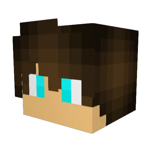Gravtail Minecraft avatar head, 3D render