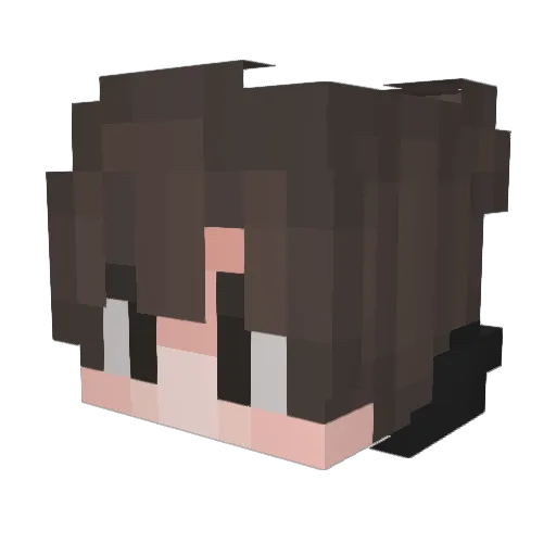 Grawhill Minecraft avatar head, 3D render