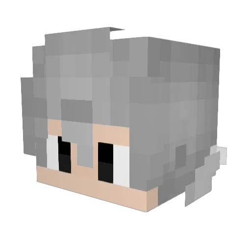 Gray176 Minecraft avatar head, 3D render