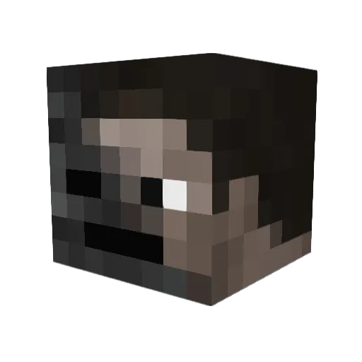 Gray72811 Minecraft avatar head, 3D render