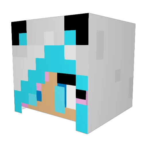 GrayCat0 Minecraft avatar head, 3D render