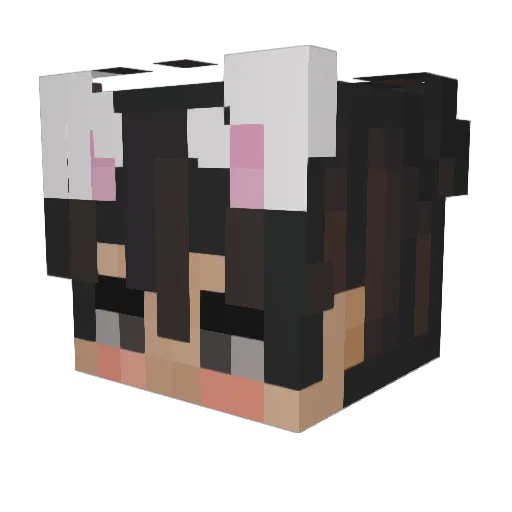 GrayFoxs Minecraft avatar head, 3D render