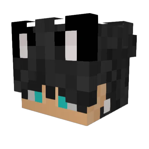 GrayGS Minecraft avatar head, 3D render