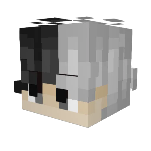 GrayGust Minecraft avatar head, 3D render