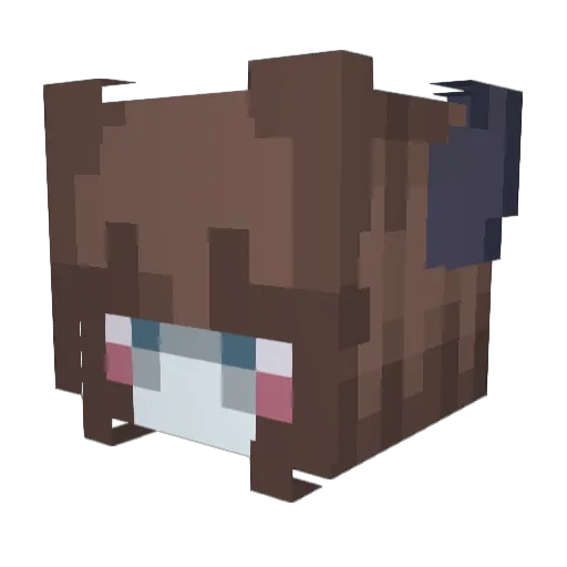 GrayIsOkay Minecraft avatar head, 3D render